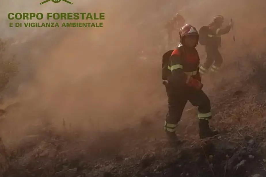 I Forestale in azione