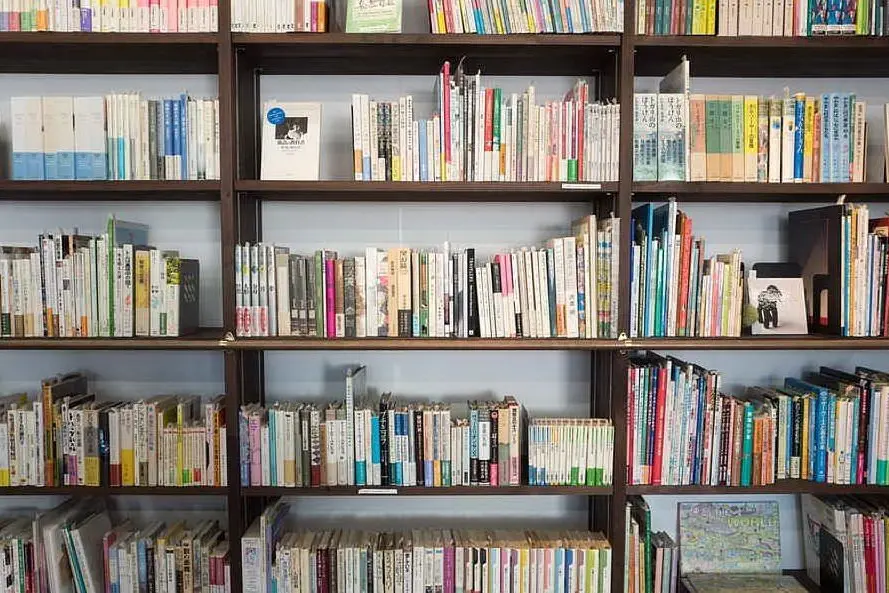 Una libreria (foto Pixabay)