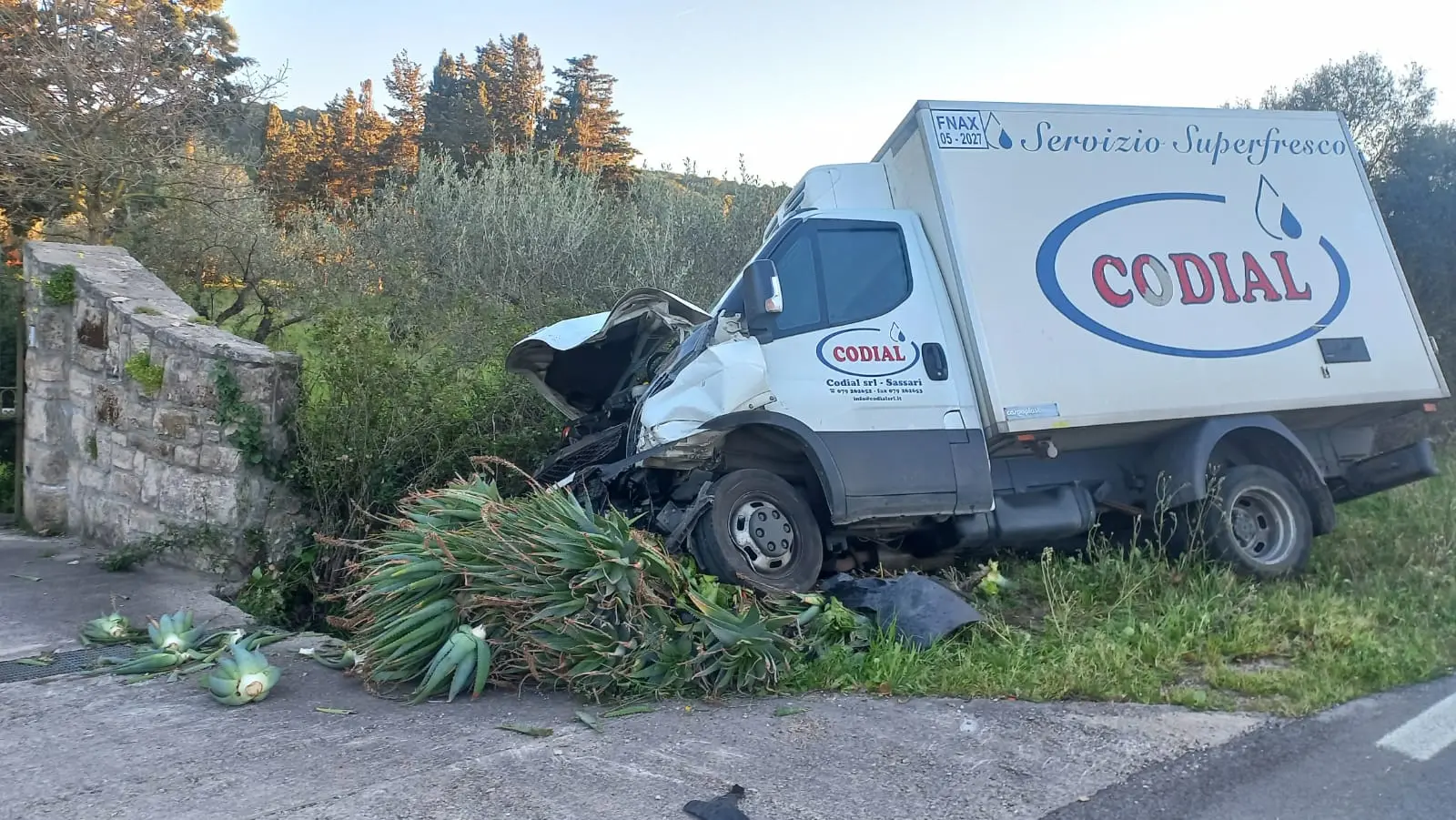Il furgone coinvolto nell'incidente (foto Fiori)