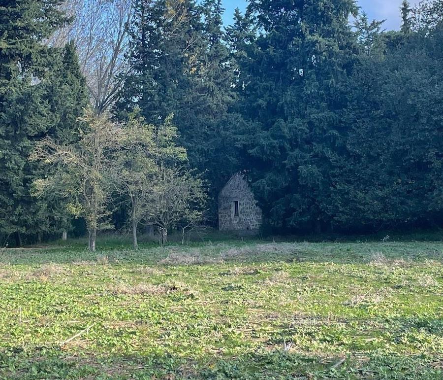 "Frutteto Storico della Marmilla", l’iniziativa a Curcuris