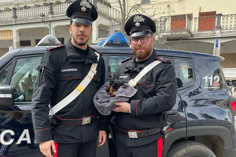Il cucciolo salvato (foto carabinieri)