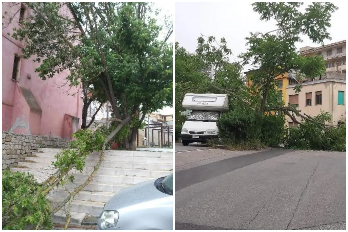 Raffiche di vento a Nuoro, rami caduti e disagi per passanti e automobilisti (foto F. Ledda)
