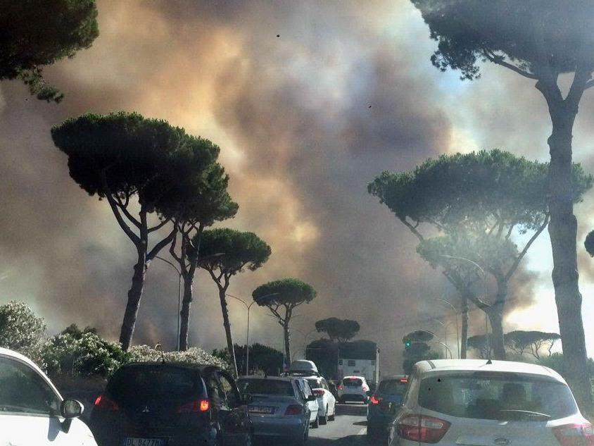 Roma, nuovo incendio alla pineta di Castel Fusano: case evacuate