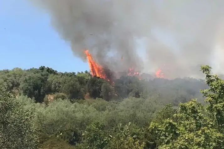 L'incendio a Paulilatino (foto L'Unione Sarda - Sanna)