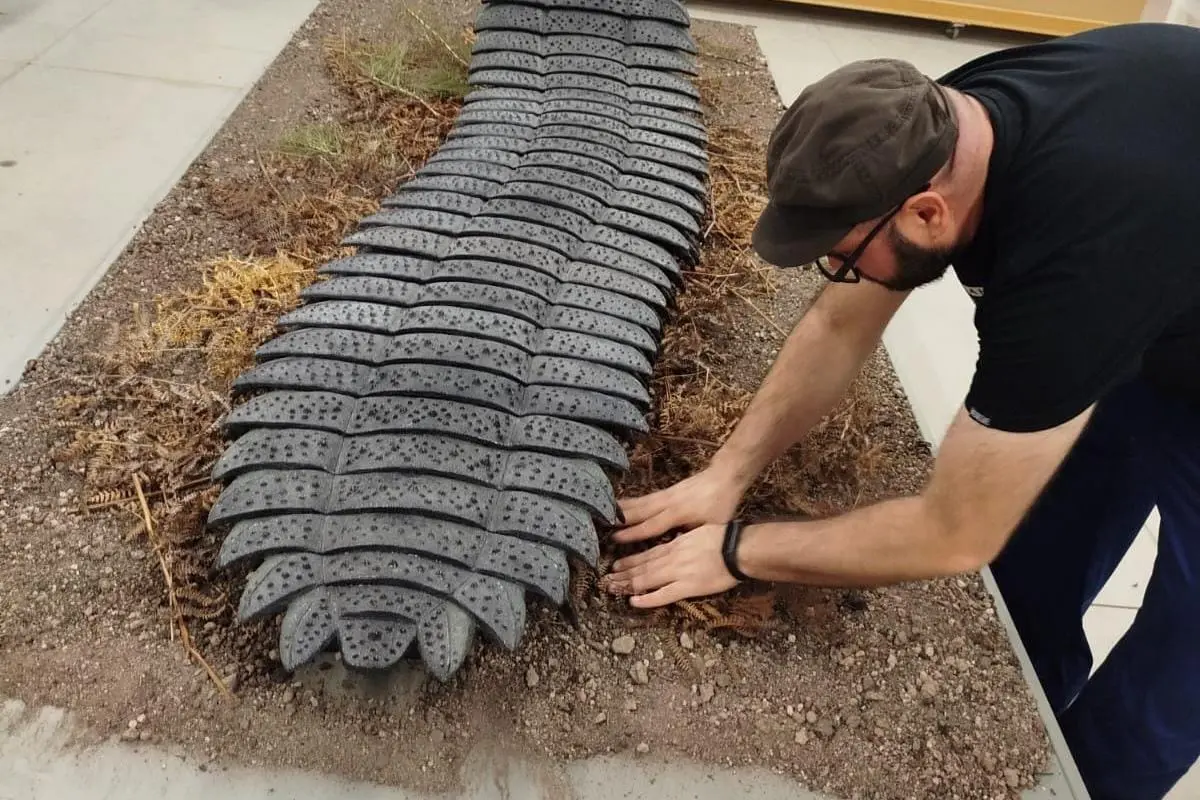 La riproduzione dell'Arthropleura (Foto Scano)