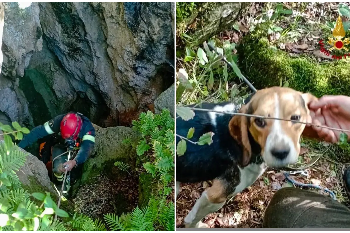 Il salvataggio a Iglesias (foto vigili del fuoco)