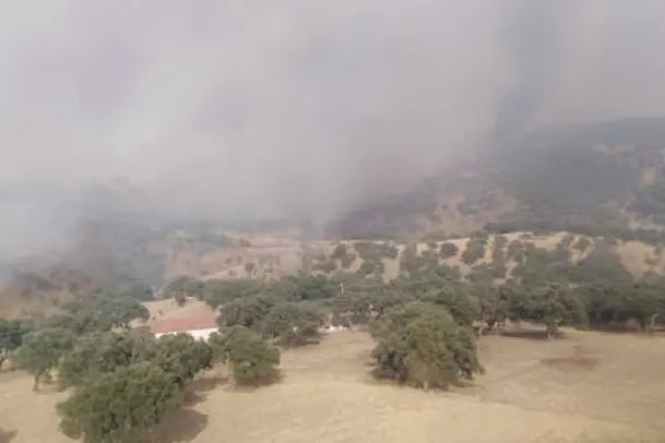 L'incendio a Burcei (foto Corpo forestale)