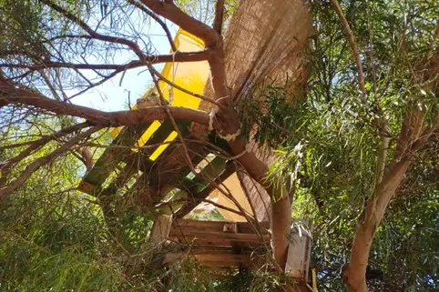 La struttura in legno sopra l'albero (foto concessa)