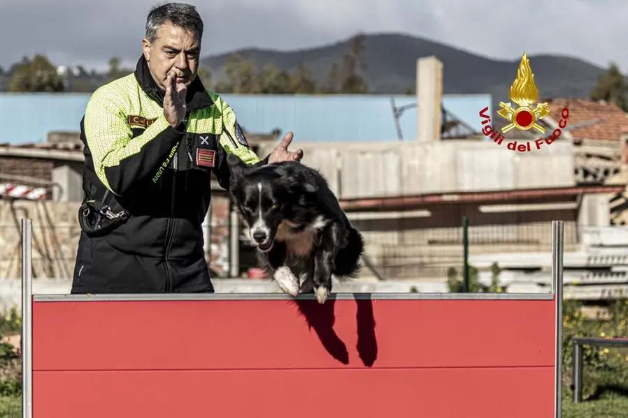 Si chiamano Vega, Nora, Angie e Zara. E sono i cani delle nuove unità cinofile che entrano in servizio in Sardegna per andare a rinforzare il nucleo regionale dei Vigili del fuoco. Hanno superato un percorso formativo di dieci mesi, e da oggi lavoreranno nella ricerca di persone disperse. (Unioneonline/s.s.)