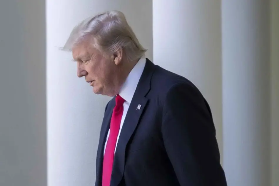 Donald Trump (Ansa - Thew)