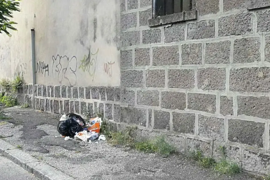 Il sacchetto gettato in via Abruzzi (foto L'Unione Sarda - Scano)