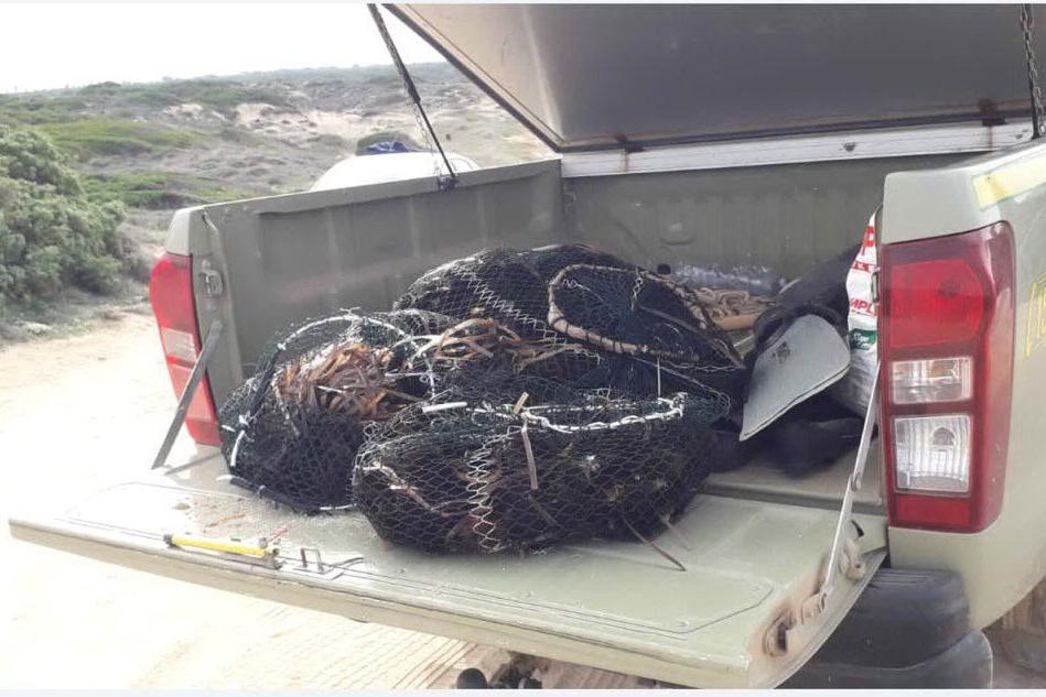 Pesca abusiva a San Vero Milis, sequestrati 500 ricci di mare