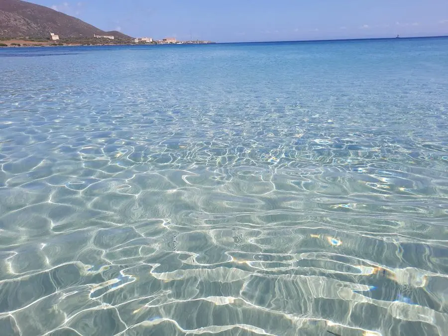 Il mare cristallino dell'Asinara (foto m. v.)