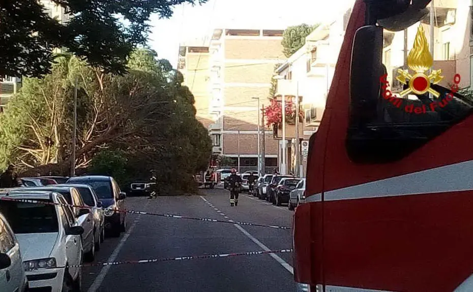 (foto Vdf)