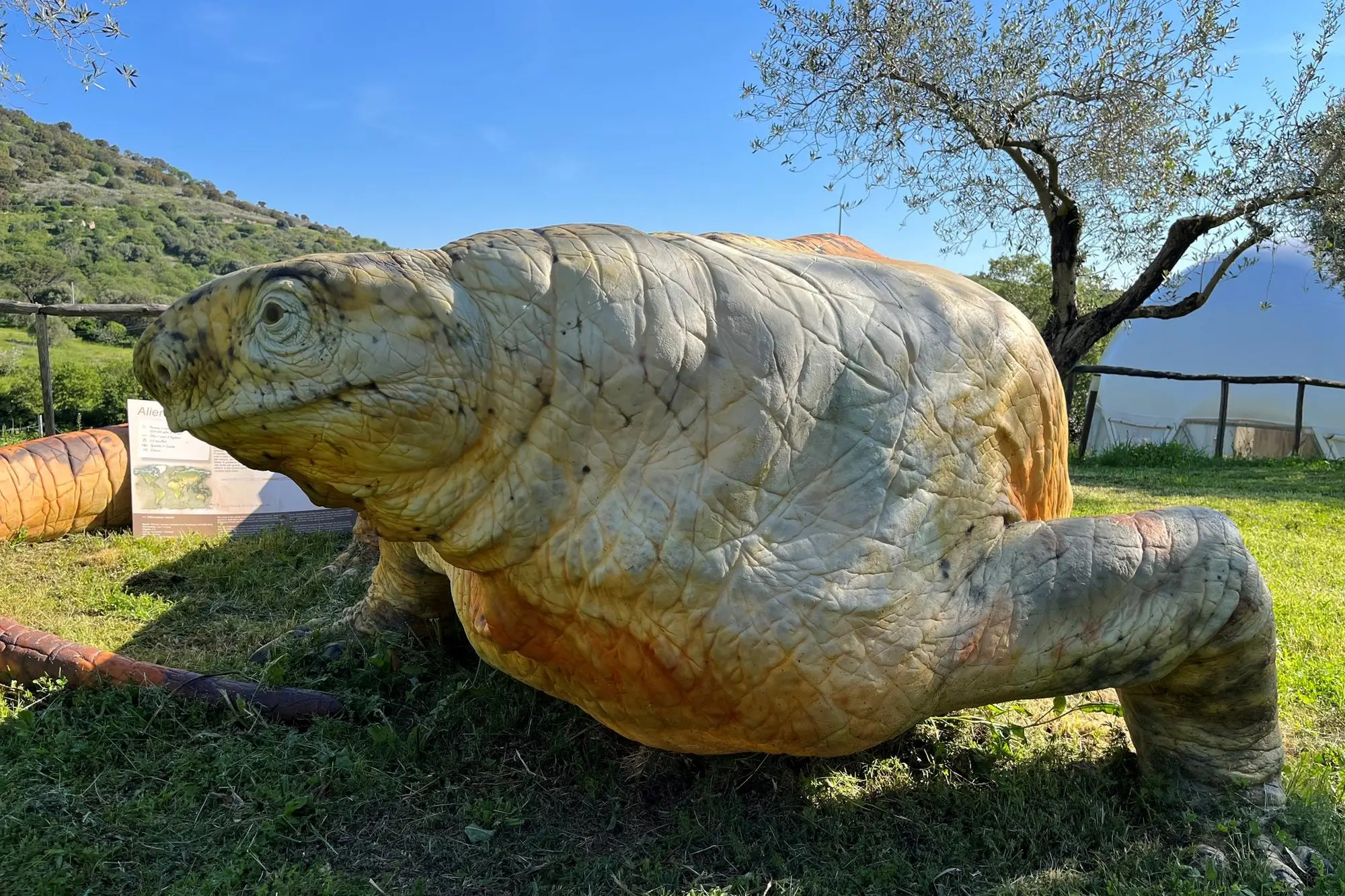 Alierasaurus ronchii nel parco Bittirex