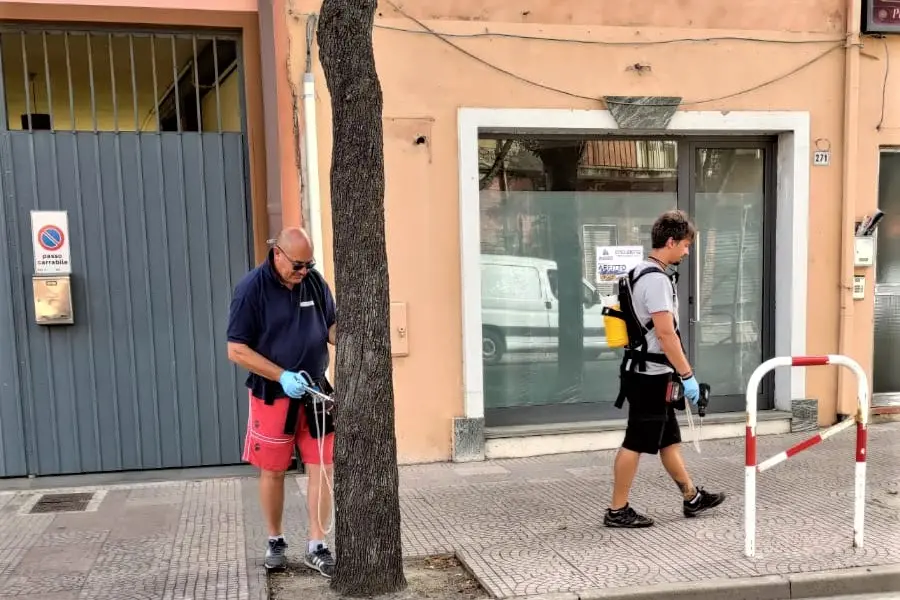 I tecnici al lavoro in via Cagliari ad Oristano (foto Sanna)