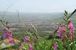 Una veduta del territorio di Villamassargia