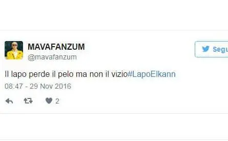 &quot;Il Lapo perde il pelo ma non il vizio&quot;