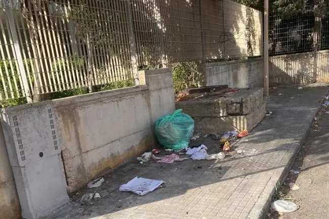 Sporcizia in via Liguria (foto Pala)