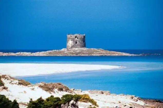 La spiaggia de La Pelosa (Archivio L'Unione Sarda)