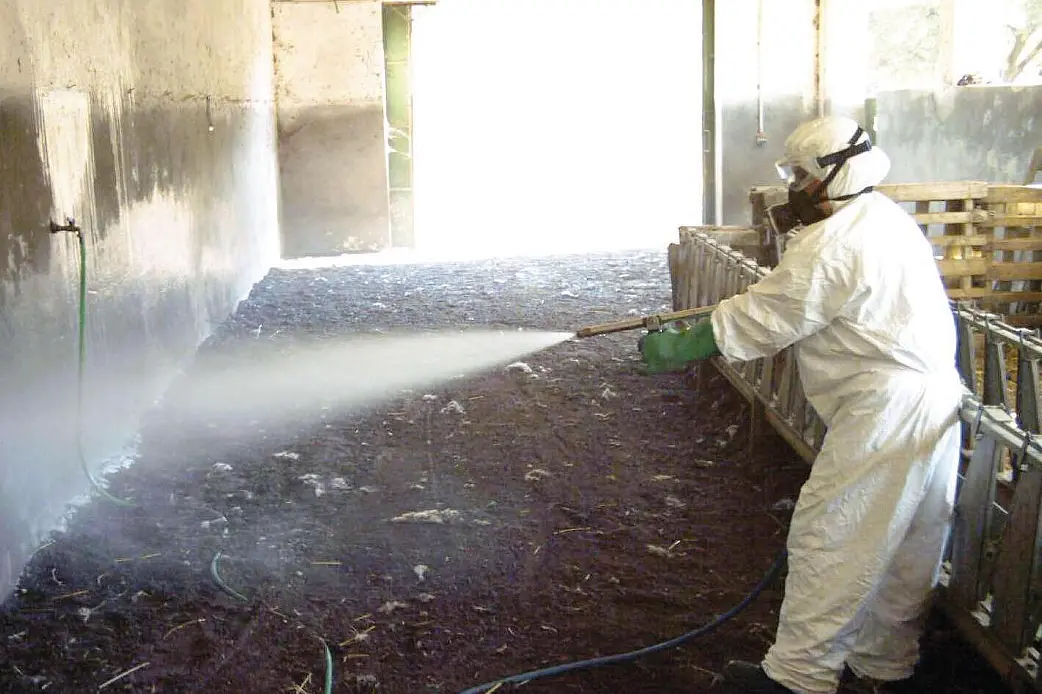 Дезинфекция овчарни (Архив)