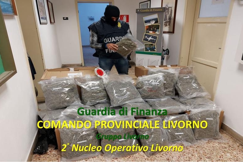Operazione antidroga fra Toscana e Sardegna: maxi sequestro di marijuana