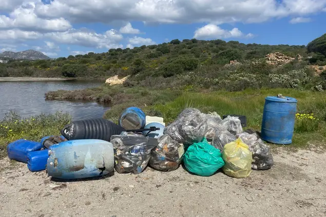 Parte dei rifiuti raccolti da Plastic free (foto Careddu)
