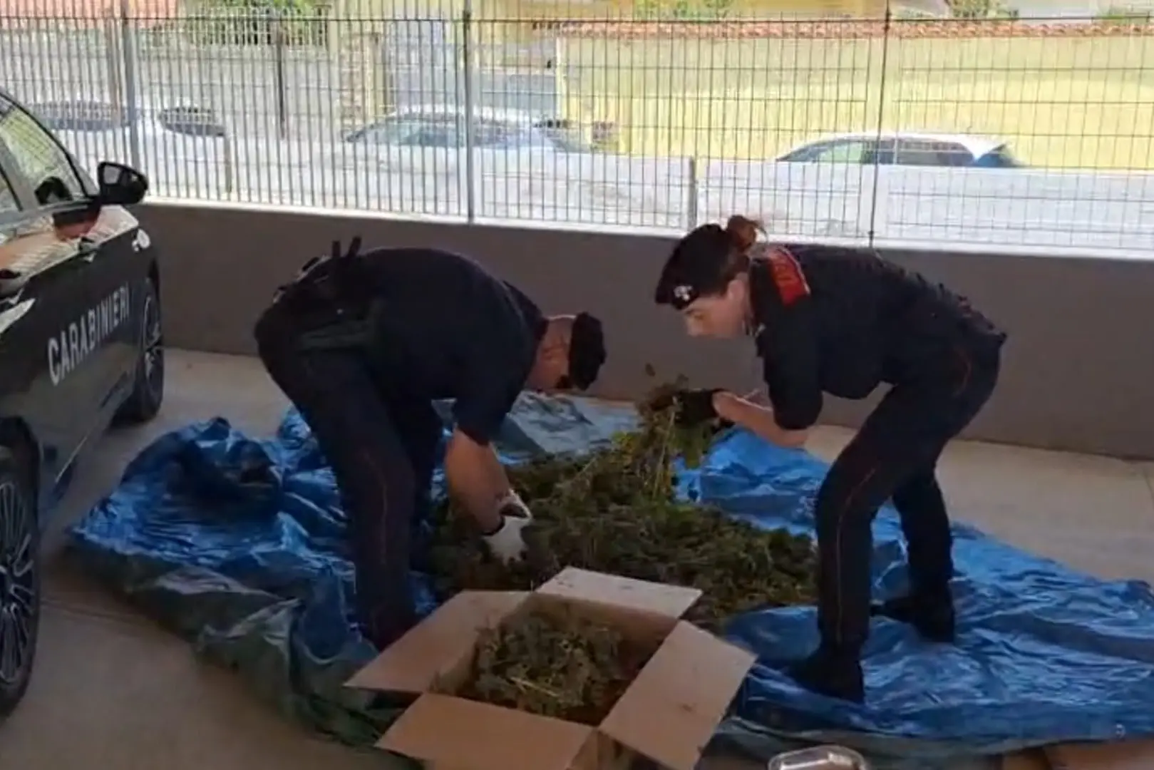 La droga sequestrata dai carabinieri a Sestu