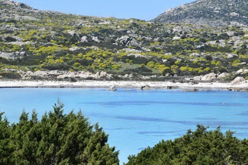 Parco dell'Asinara: nuove regole anti Covid per le visite nell'area protetta