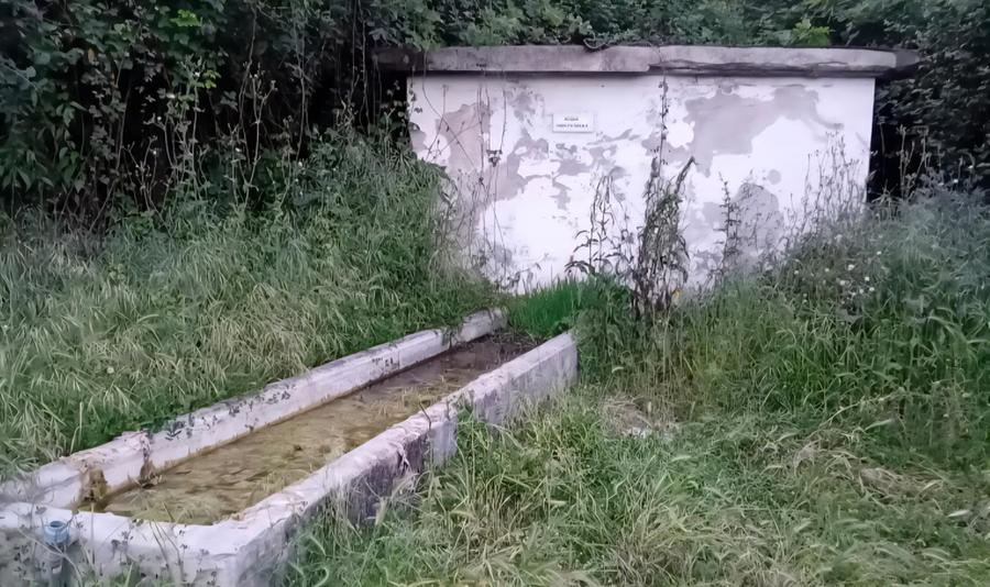 Tadasuni, proteste per strade rurali e abbeveratoi in pessimo stato