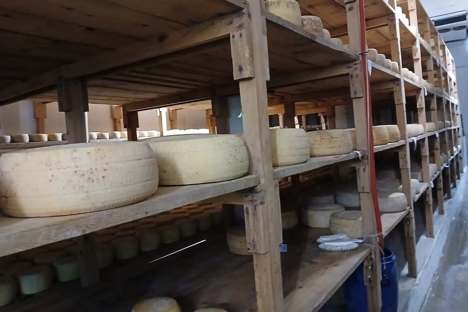 I formaggi di Mandas