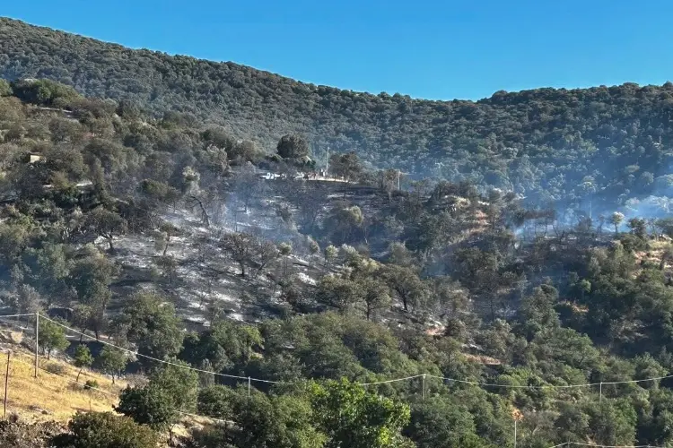 Incendio a Ozier