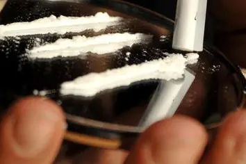 Cocaina e marijuana in casa, 28enne in arresto (immagine simbolo, foto Ansa)