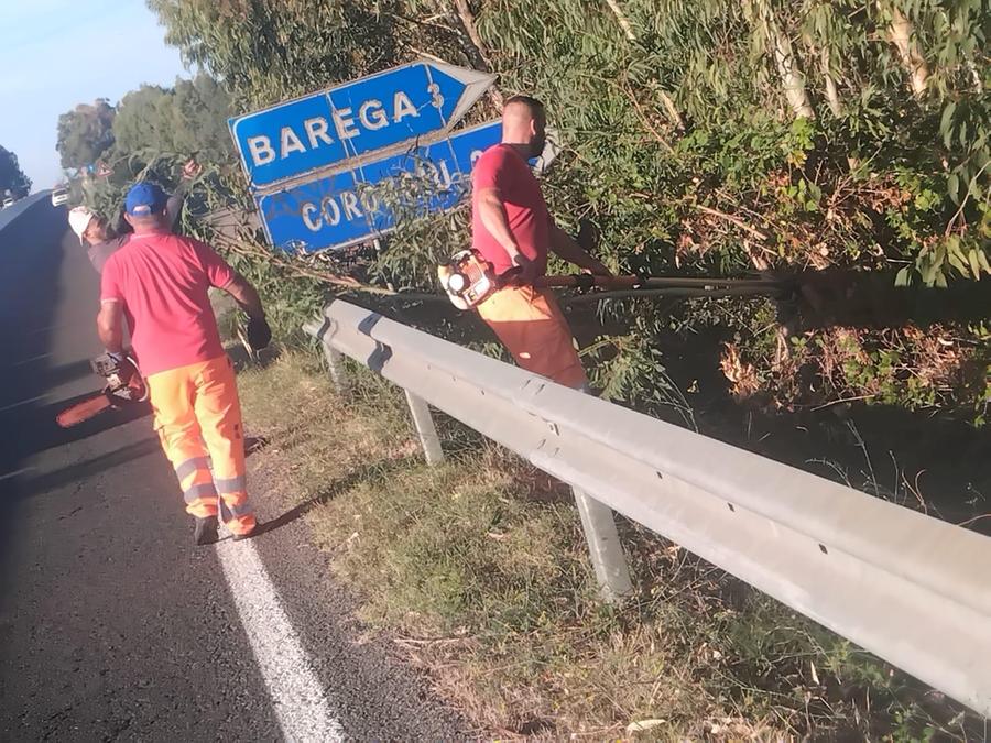 Carbonia, cartelli stradali nascosti dalle erbacce sulla Sp2: partono gli interventi di pulizia