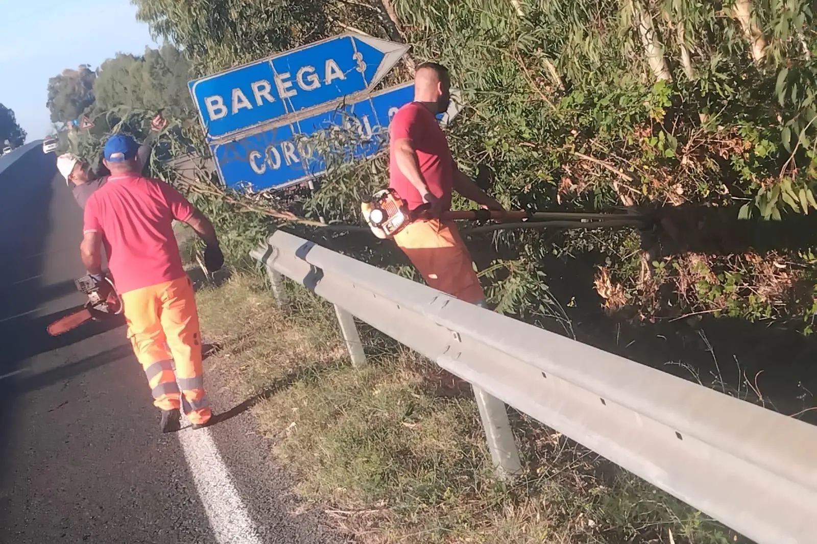 Le pulizie lungo la Sp2 (foto Scano)