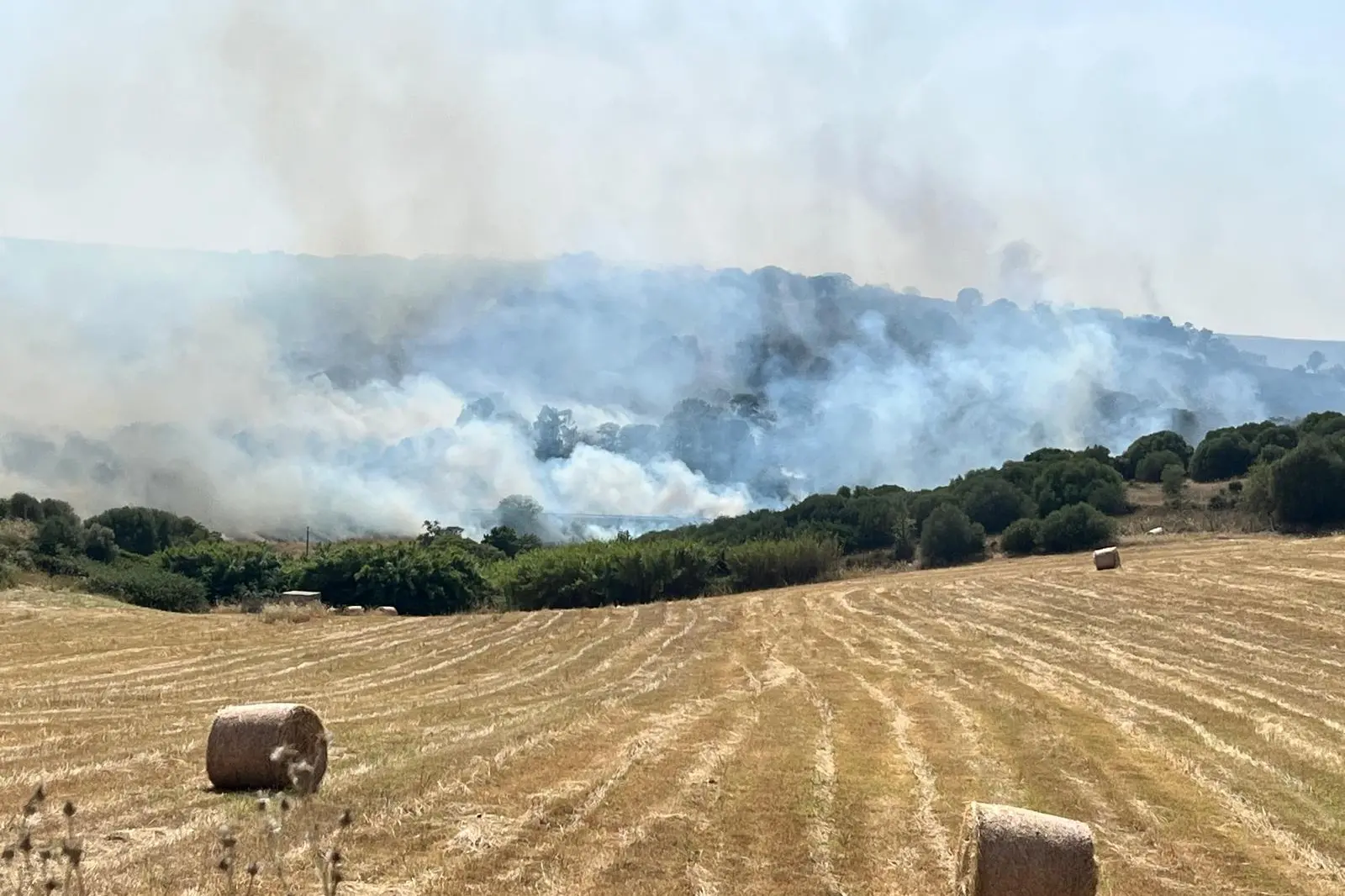 Incendio a Mores (foto Pala)