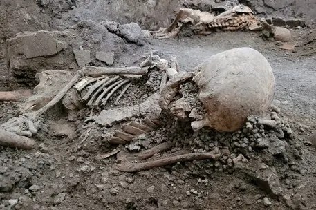 Gli scheletri a Pompei (foto Ansa)