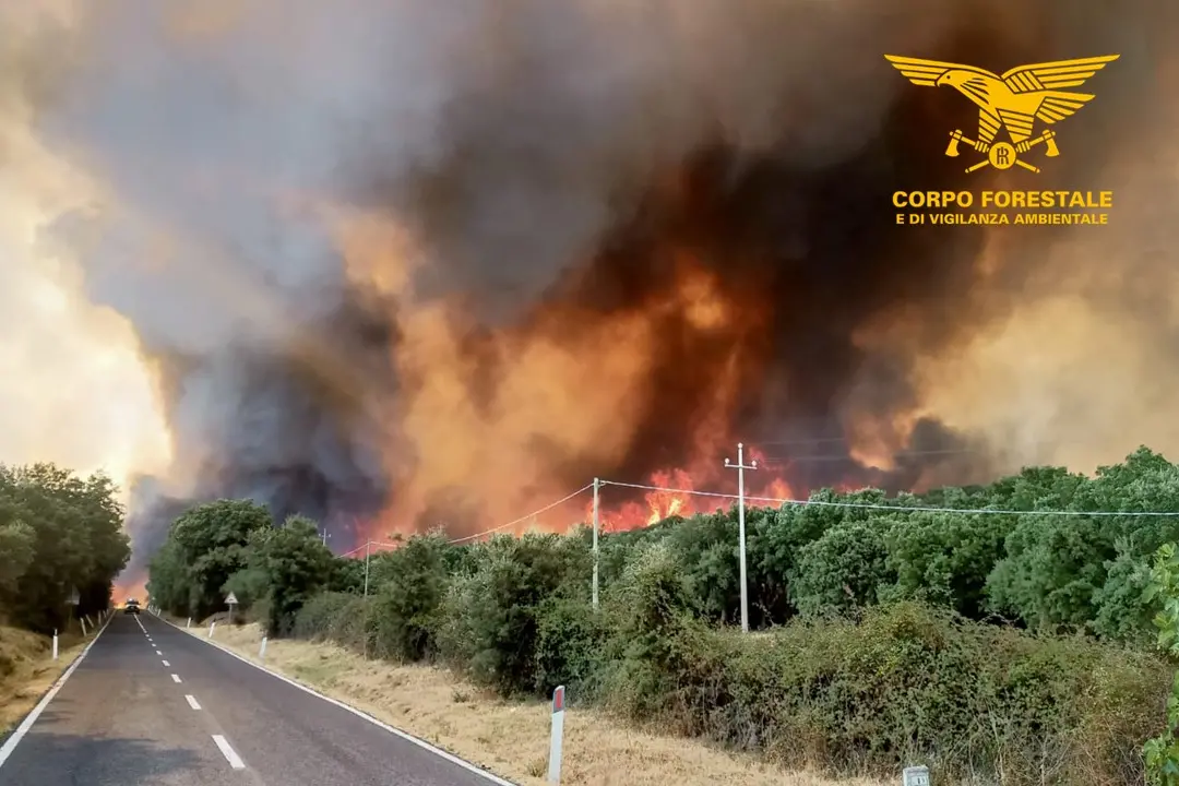 Il vasto incendio a Calangianus (foto Corpo forestale)