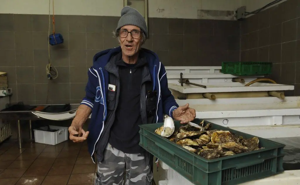 Franco Masala, allevatore di ostriche