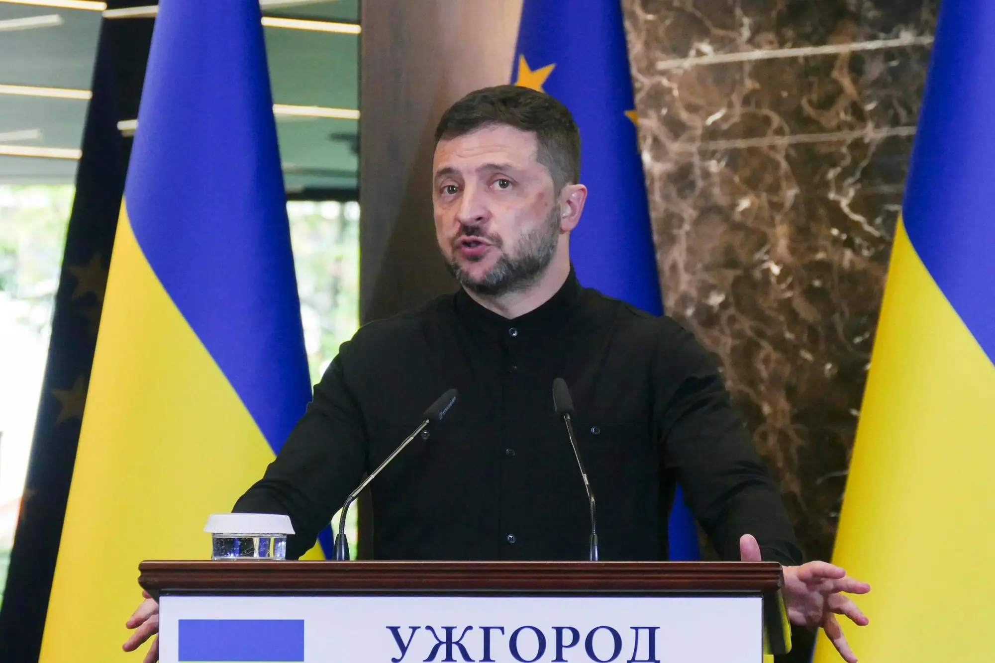 Volodymyr Zelensky (Ansa-Epa)