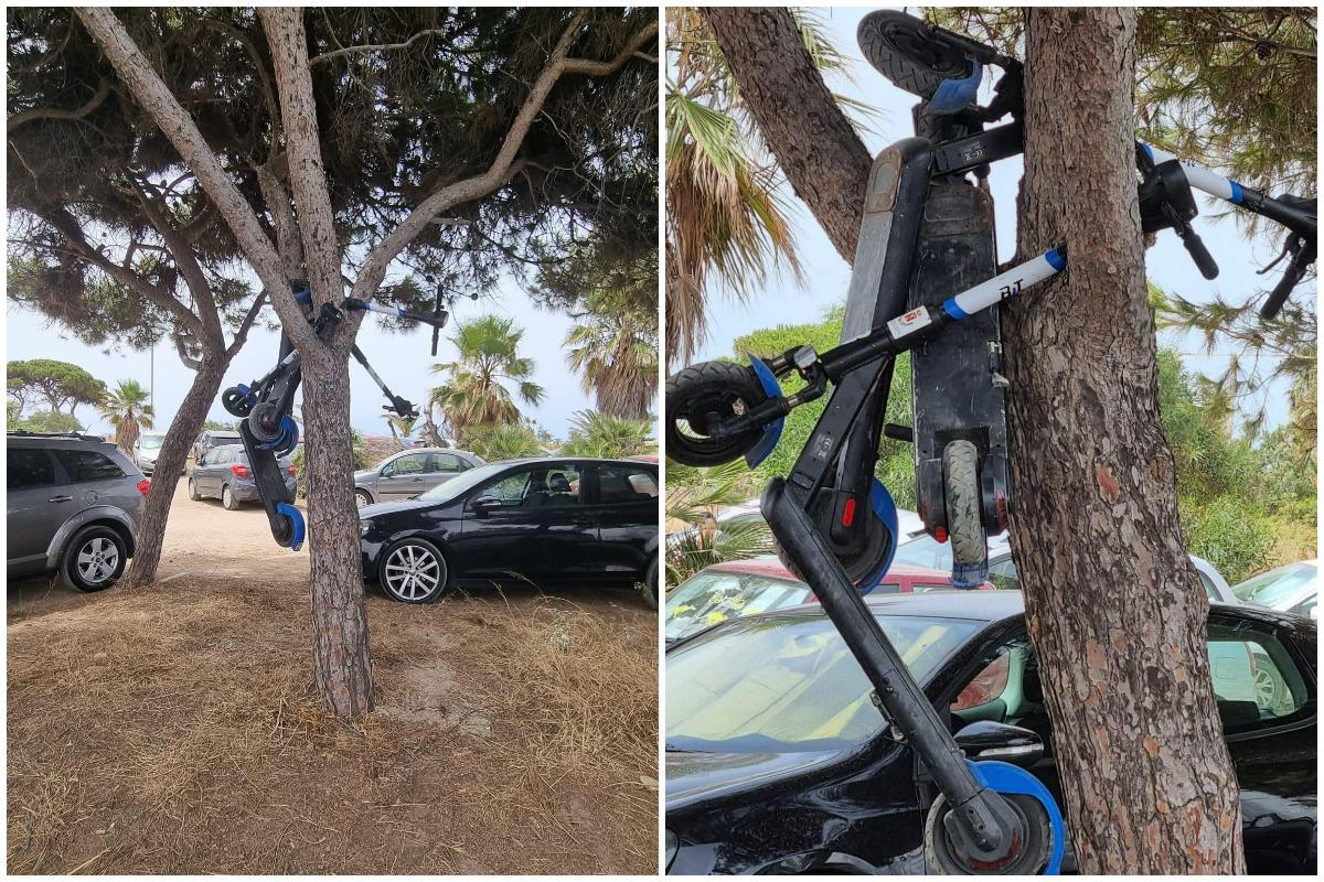 Poetto, incivili scatenati: i monopattini parcheggiati anche sugli alberi