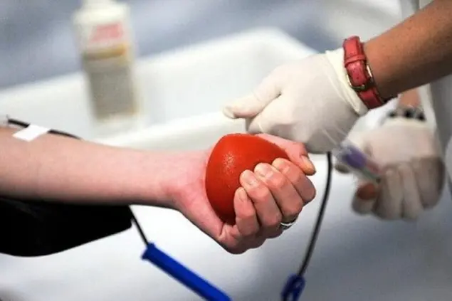 Donazione del sangue (foto Ansa)