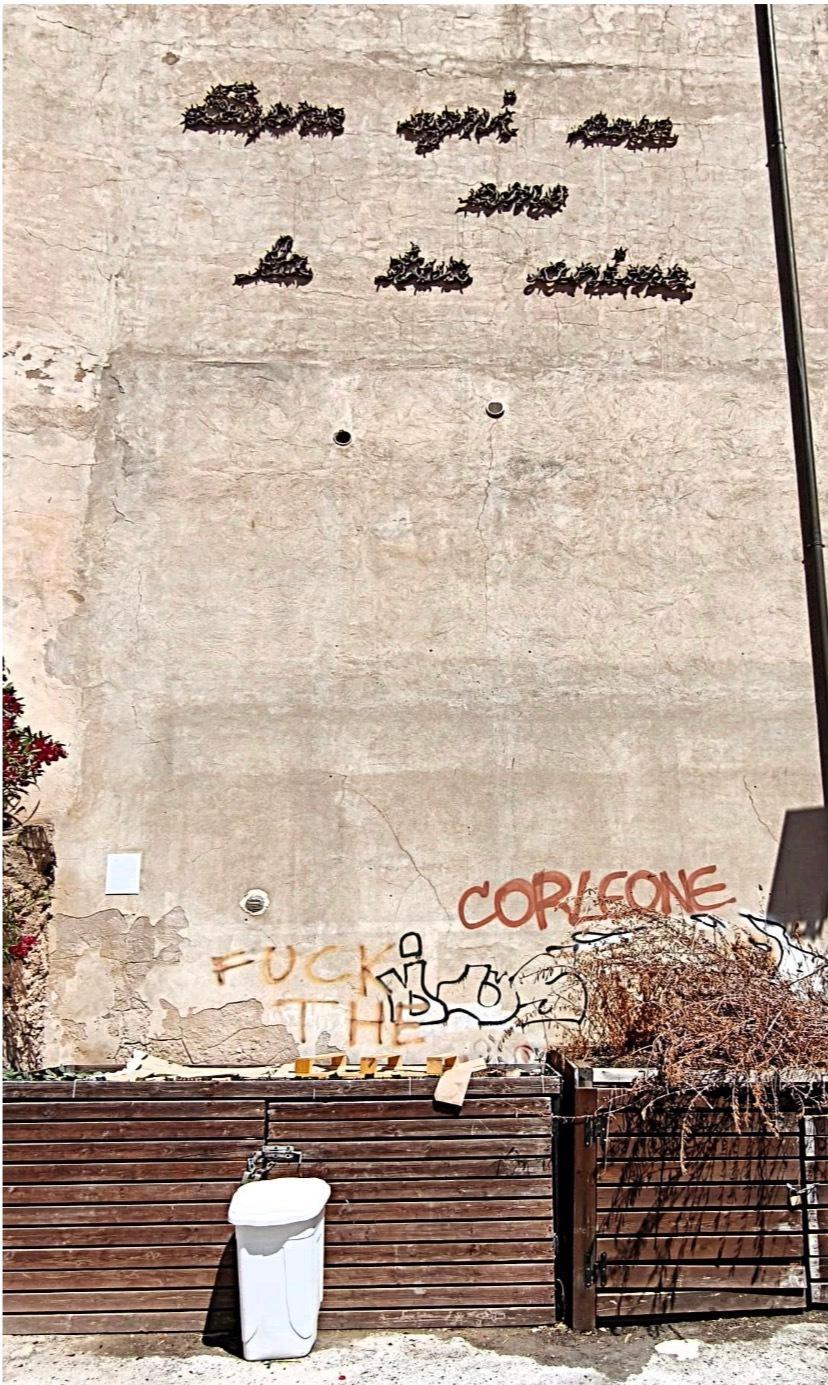 Opera d’arte soffocata da degrado e rifiuti