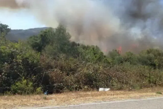 Incendio a San Teodoro (foto concessa da Michele Durgoni)