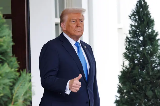 Donald J. Trump (Ansa)