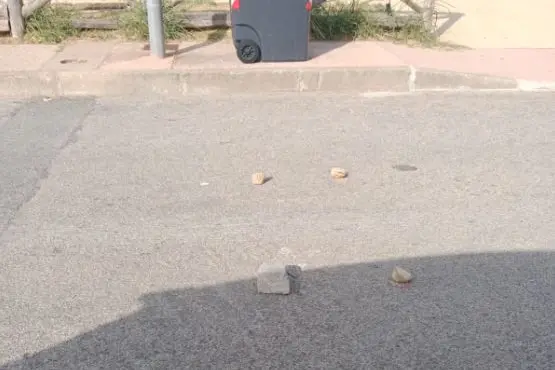 Le pietre disposte sulla strada (foto Pala)