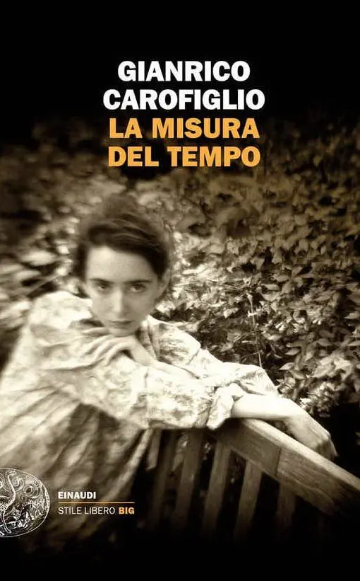 La copertina del libro