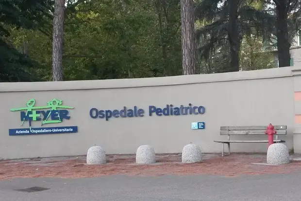 L'ospedale Meyer (Ansa)