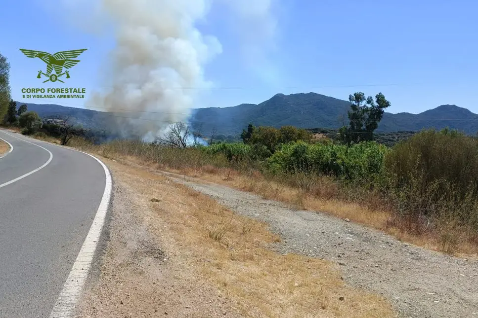 L'incendio nel Nuorese (foto Corpo forestale)