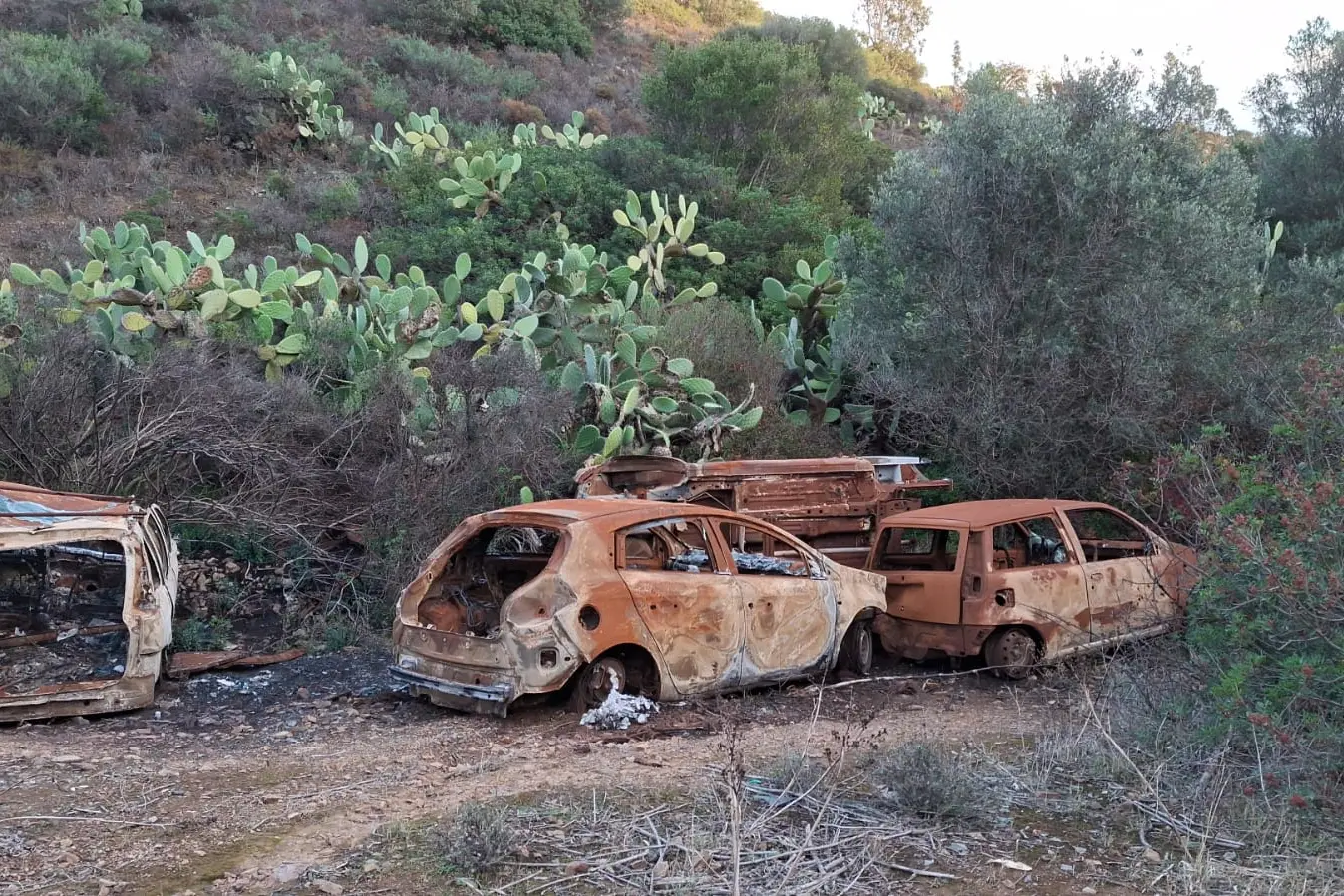 Auto bruciate abbandonate sul tagliafuoco della pineta di Sinnai (foto Serreli)